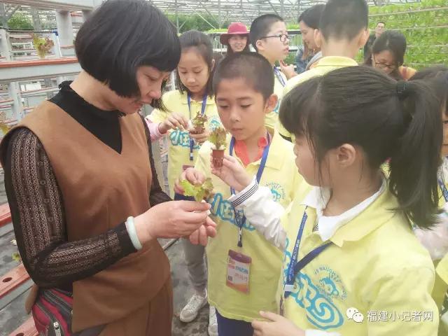 【围观】福建小记者走进农场体验农耕乐趣