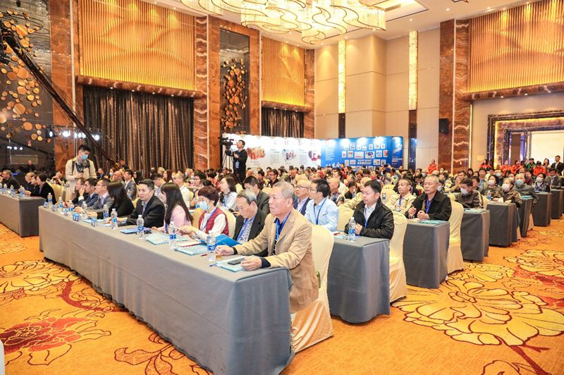 这场吸引了200万人在线观看的大会，都说了些什么？