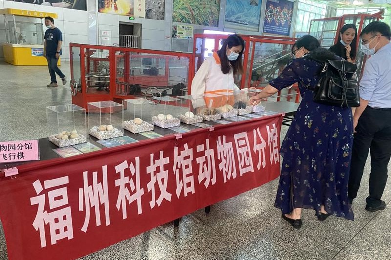 福州科技馆动物园分馆端午节活动