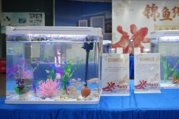 “锦鱼·绮梦”金鱼科普展在福州科技馆举行