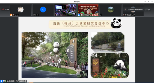 这个夏令营，福州熊猫出圈了