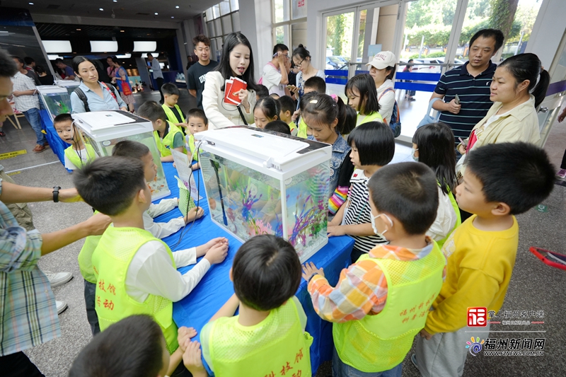 “锦鱼·绮梦”金鱼科普展在福州科技馆举行