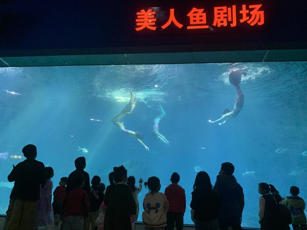 2023年福州科技馆分馆游学系列活动暨3.3“世界野生动植物日——野生动植物保护伙伴关系之中华白海豚伞护效应